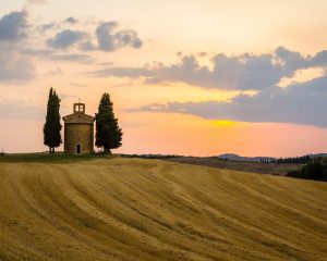 Viaggio SIENA E LA VAL D’ORCIA