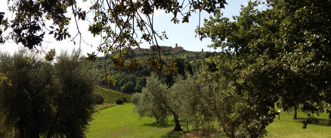 Viaggio UMBRIA DIPINTA, TRA MEDIOEVO E RINASCIMENTO